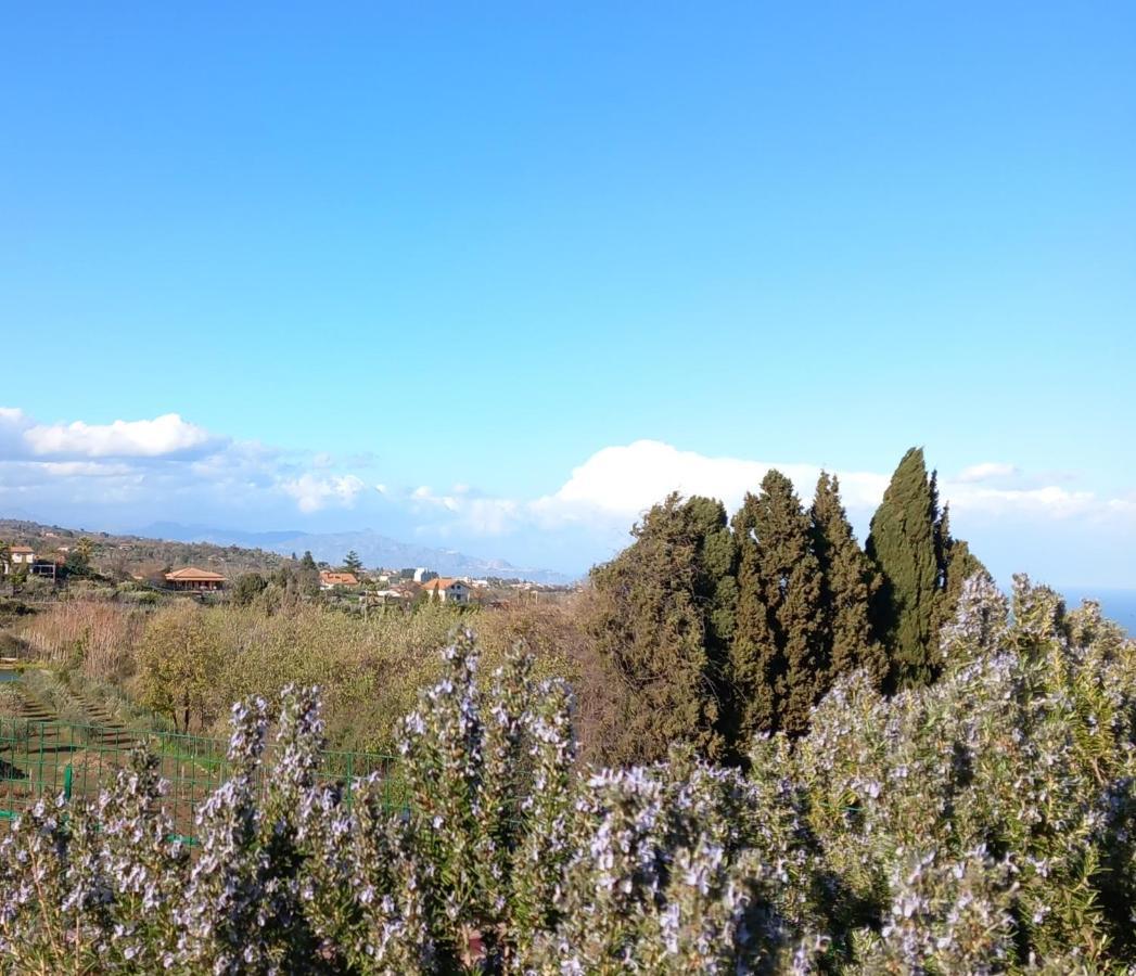 Etna Green House Villa Zafferana Etnea Exterior photo