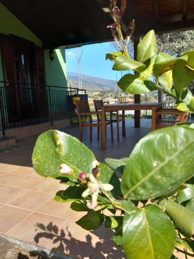 Etna Green House Villa Zafferana Etnea Exterior photo